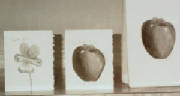 applesflower.jpg