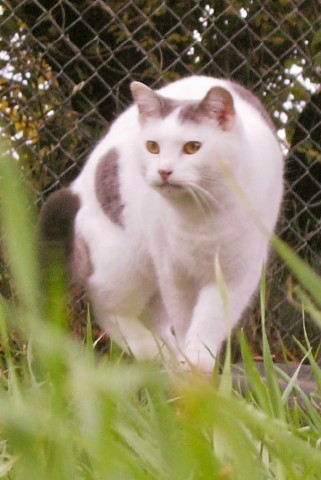 louisseportraitsept2007.jpg