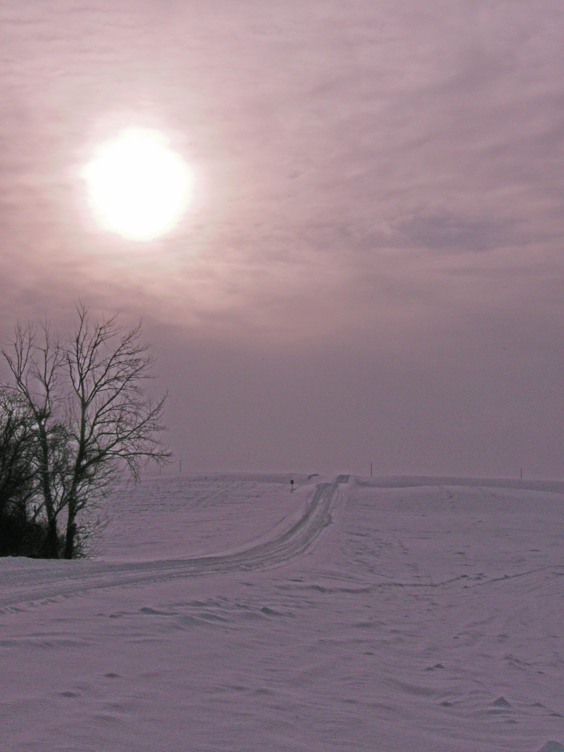 winterafternoon2.jpg